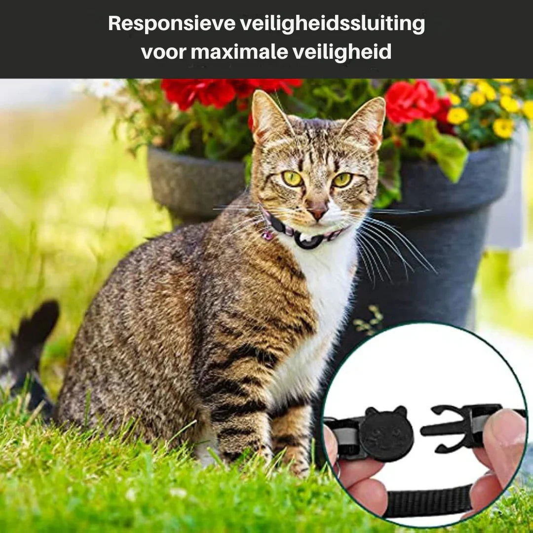 Cat GPS Tracking Collar Featuring Quick-Release Fastener and Enhanced Reflective Design for Nighttime Safety
