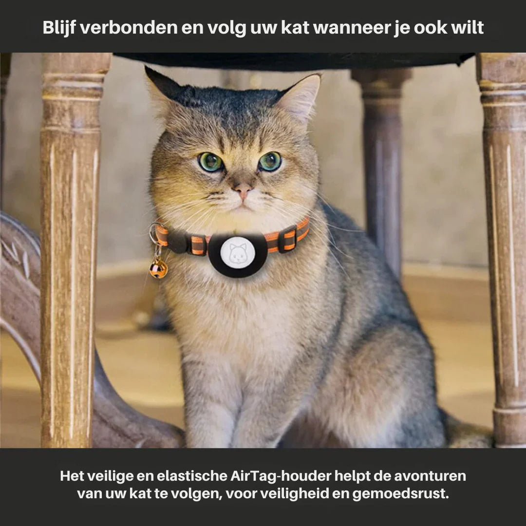 Cat GPS Tracking Collar Featuring Quick-Release Fastener and Enhanced Reflective Design for Nighttime Safety